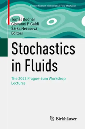 Bodnár / Galdi / Necasová | Stochastics in Fluids | E-Book | sack.de