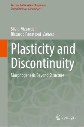 Vizzardelli / Panattoni |  Plasticity and Discontinuity | Buch |  Sack Fachmedien
