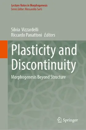 Vizzardelli / Panattoni |  Plasticity and Discontinuity | eBook | Sack Fachmedien