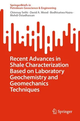 Sethi / Wood / Hazra |  Recent Advances in Shale Characterization Based on Laboratory Geochemistry and Geomechanics Techniques | Buch |  Sack Fachmedien