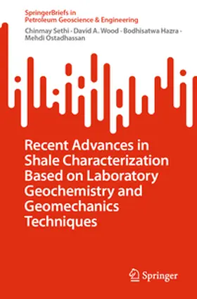 Sethi / Wood / Hazra |  Recent Advances in Shale Characterization Based on Laboratory Geochemistry and Geomechanics Techniques | eBook | Sack Fachmedien