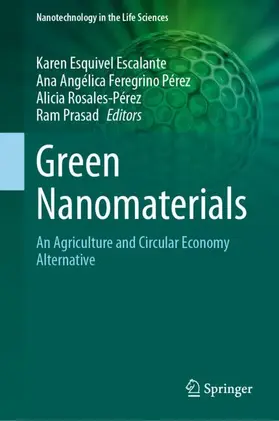 Esquivel Escalante / Feregrino Pérez / Rosales Pérez |  Green Nanomaterials | Buch |  Sack Fachmedien