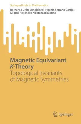 Uribe Jongbloed / Serrano Garcia / Xicoténcatl Merino |  Magnetic Equivariant K-Theory | Buch |  Sack Fachmedien