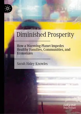 Haley Knowles | Diminished Prosperity | Buch | 978-3-032-07067-8 | www2.sack.de
