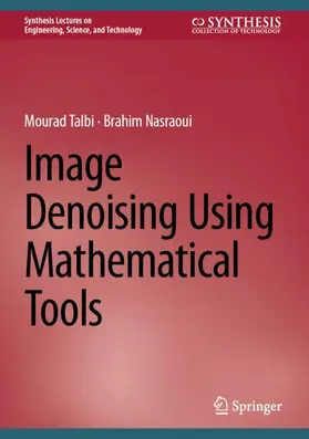 Talbi / Nasraoui |  Image Denoising Using Mathematical Tools | Buch |  Sack Fachmedien