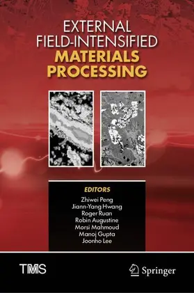 Peng / Hwang / Ruan |  External Field-Intensified Materials Processing | Buch |  Sack Fachmedien