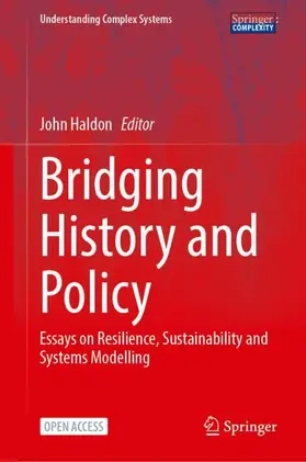 Haldon |  Bridging History and Policy | Buch |  Sack Fachmedien