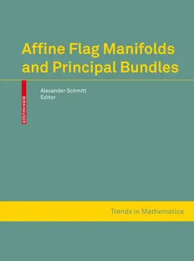 Schmitt |  Affine Flag Manifolds and Principal Bundles | Buch |  Sack Fachmedien