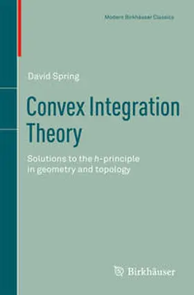 Spring |  Convex Integration Theory | eBook | Sack Fachmedien