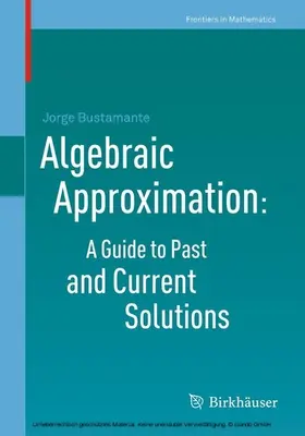 Bustamante |  Algebraic Approximation: A Guide to Past and Current Solutions | eBook | Sack Fachmedien