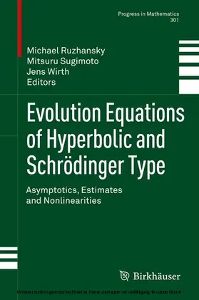 Ruzhansky / Sugimoto / Wirth | Evolution Equations of Hyperbolic and Schrödinger Type | E-Book | sack.de