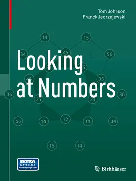 Johnson / Jedrzejewski |  Looking at Numbers | eBook | Sack Fachmedien