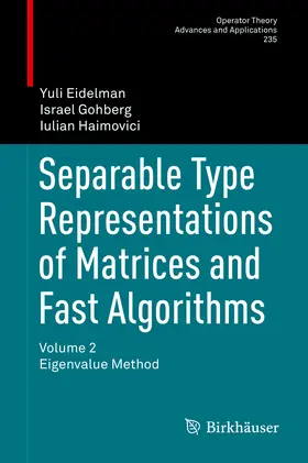 Eidelman / Gohberg / Haimovici |  Separable Type Representations of Matrices and Fast Algorithms | eBook | Sack Fachmedien
