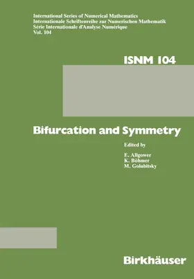 BÖHMER / GOLUBITSKY / ALLGOWER |  Bifurcation and Symmetry | Buch |  Sack Fachmedien