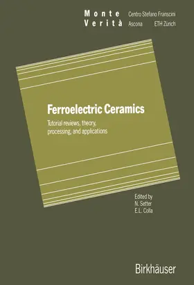 Setter / Colla |  Ferroelectric Ceramics | Buch |  Sack Fachmedien