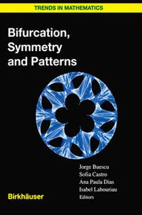 Buescu / de Castro / Dias | Bifurcation, Symmetry and Patterns | E-Book | sack.de