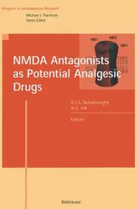 Sirinathsinghji / Hill |  NMDA Antagonists as Potential Analgesic Drugs | eBook | Sack Fachmedien
