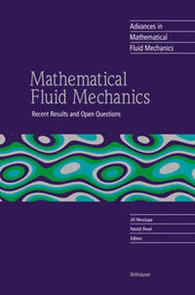 Neustupa / Penel |  Mathematical Fluid Mechanics | eBook | Sack Fachmedien