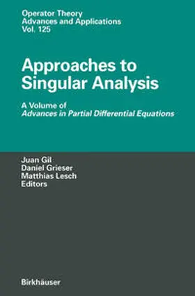 Gil / Grieser / Lesch | Approaches to Singular Analysis | E-Book | sack.de