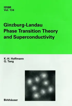 Tang / Hoffmann |  Ginzburg-Landau Phase Transition Theory and Superconductivity | Buch |  Sack Fachmedien