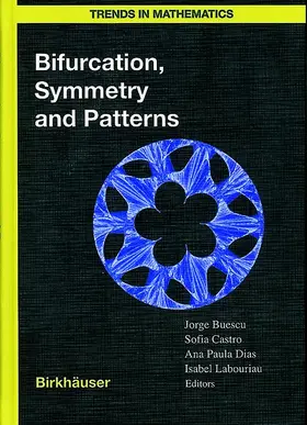 Buescu / Labouriau / de Castro |  Bifurcation, Symmetry and Patterns | Buch |  Sack Fachmedien