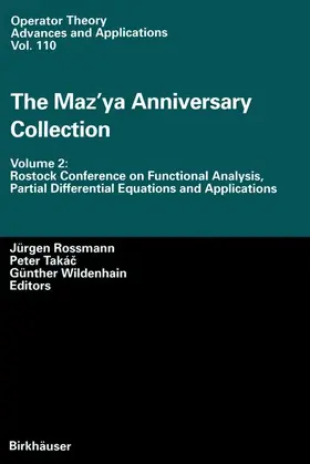 Rossmann / Wildenhain / Takac |  The Maz'ya Anniversary Collection | Buch |  Sack Fachmedien
