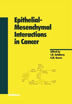 Rosen / Goldberg |  Epithelial-Mesenchymal Interactions in Cancer | Buch |  Sack Fachmedien