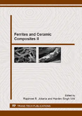 Jotania / Virk |  Ferrites and Ceramic Composites II | eBook | Sack Fachmedien