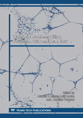 F. Miguel / Rocha / Öchsner |  Transport Problems with a Focus on Fluid and Heat Flow | Buch |  Sack Fachmedien