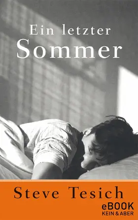 Tesich |  Ein letzter Sommer | eBook | Sack Fachmedien