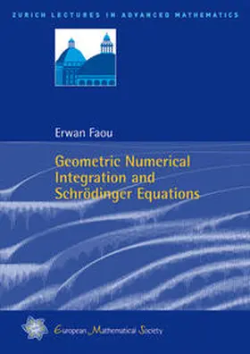 Faou |  Geometric Numerical Integration and Schrödinger Equations | Buch |  Sack Fachmedien