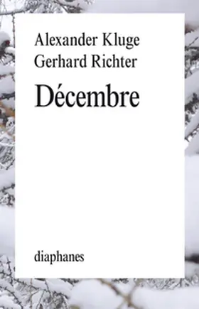 Kluge / Richter |  Décembre | Buch |  Sack Fachmedien