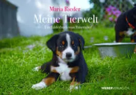 Rieder |  Meine Tierwelt | Buch |  Sack Fachmedien