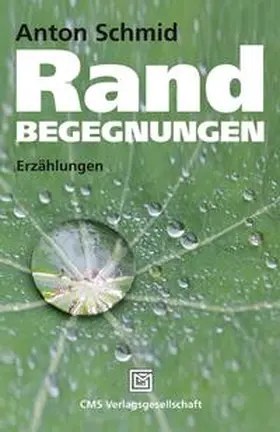 Schmid |  Randbegegnungen | Buch |  Sack Fachmedien