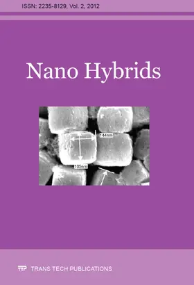  Nano Hybrids Vol. 2 | Sonstiges |  Sack Fachmedien