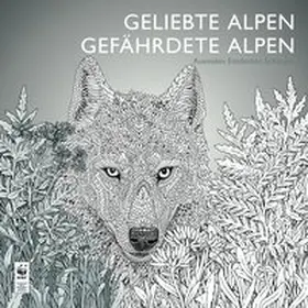 Pasotti |  Geliebte Alpen, Gefährdete Alpen | Buch |  Sack Fachmedien