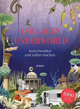 Scott |  Collagen Underworld | Buch |  Sack Fachmedien