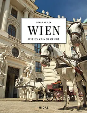 Hejlek / Zäch |  WIEN - Wie es keiner kennt | Buch |  Sack Fachmedien