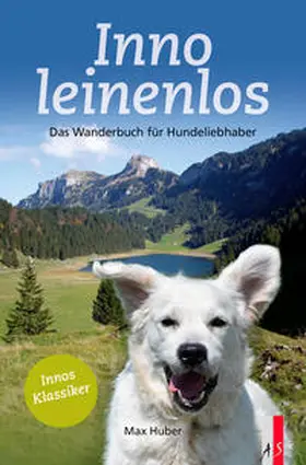 Huber |  Inno leinenlos | Buch |  Sack Fachmedien