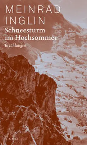 Inglin / Niederer |  Schneesturm im Hochsommer | Buch |  Sack Fachmedien