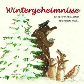 Westerlund |  Wintergeheimnisse | Buch |  Sack Fachmedien
