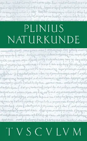König / Winkler |  Die Steine | Buch |  Sack Fachmedien