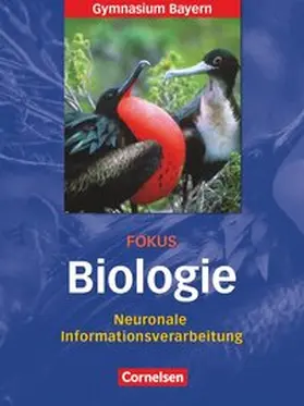 Scholz / Weber |  Fokus Biologie 12. Jahrgangsstufe. Neuronale Informationsverarbeitung. Oberstufe Gymnasium Bayern | Buch |  Sack Fachmedien