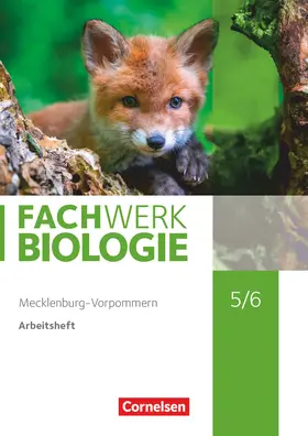  Fachwerk Biologie 5./6. Schuljahr - Mecklenburg-Vorpommern - Arbeitsheft | Buch |  Sack Fachmedien