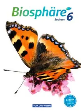 Auerbach / Bauer / Bils |  6. Schuljahr - Schülerbuch | Buch |  Sack Fachmedien