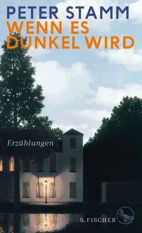 Stamm | Wenn es dunkel wird | Buch | 978-3-10-002226-4 | www2.sack.de