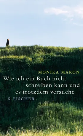 Maron |  Wie ich ein Buch nicht schreiben kann und es trotzdem versuche | Buch |  Sack Fachmedien