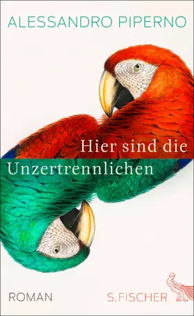 Piperno | Hier sind die Unzertrennlichen | Buch | 978-3-10-061906-8 | sack.de