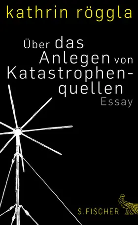 Röggla |  Über das Anlegen von Katastrophenquellen | eBook | Sack Fachmedien