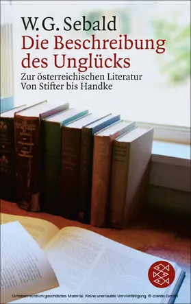 Sebald |  Die Beschreibung des Unglücks | eBook | Sack Fachmedien
